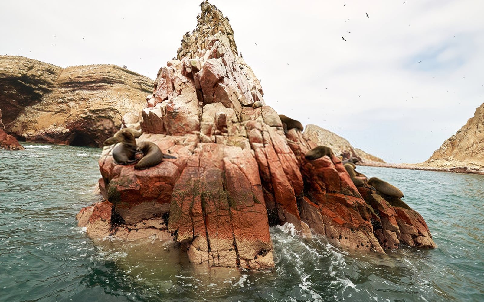 islas ballestas 2 ica