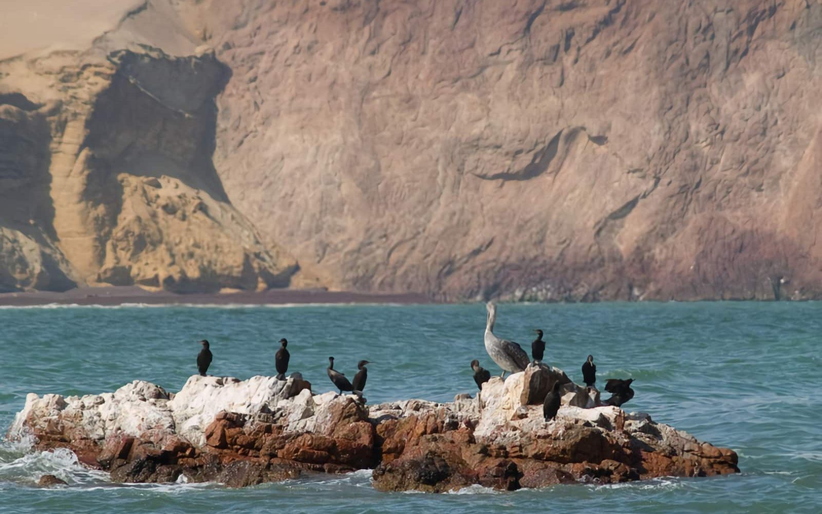 islas ballestas ica