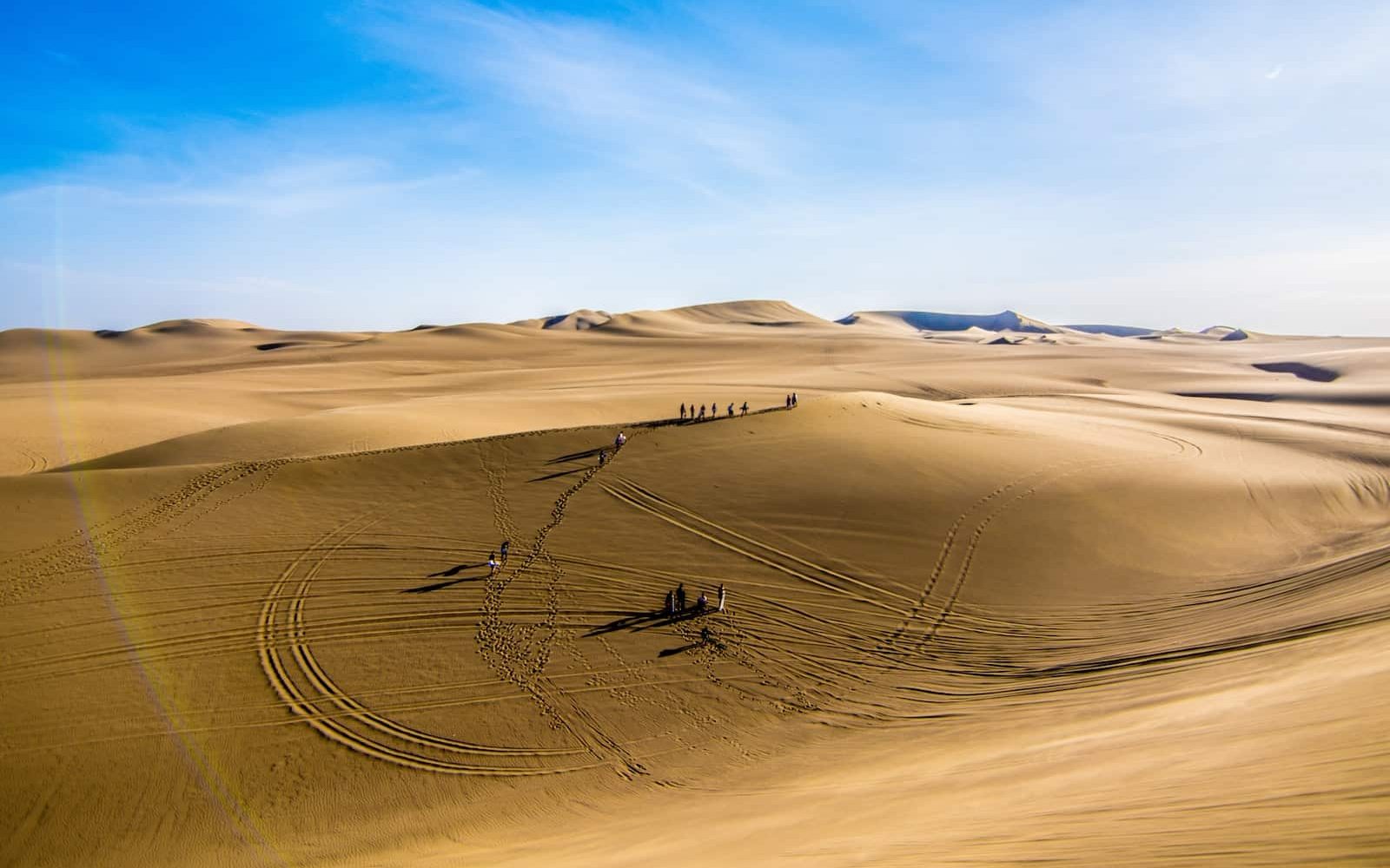 people walking on dessert